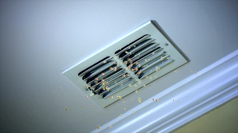 Ventilation Cleaning Services in Dexter, MO