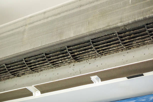 Best Air Quality Test  in Dexter, MO